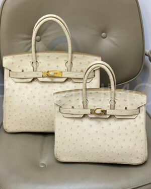 Hermes сумка PR859921