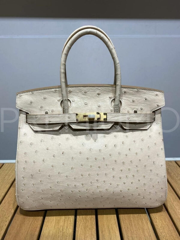 Hermes сумка PR622571