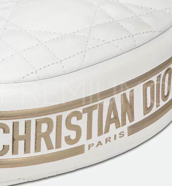 Christian Dior сумка PR668344 6