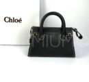 Chloe сумка PR352514 10