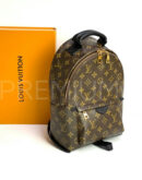 Louis Vuitton рюкзак PR480627 12