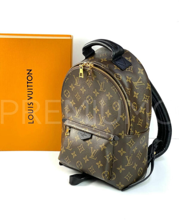 Louis Vuitton рюкзак PR480627 3