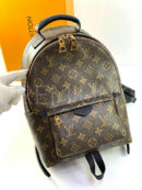 Louis Vuitton рюкзак PR480627 16