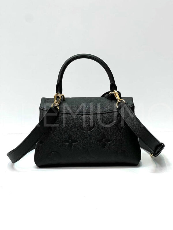 Louis Vuitton сумка PR476343 3