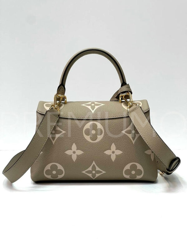 Louis Vuitton сумка PR427818 3