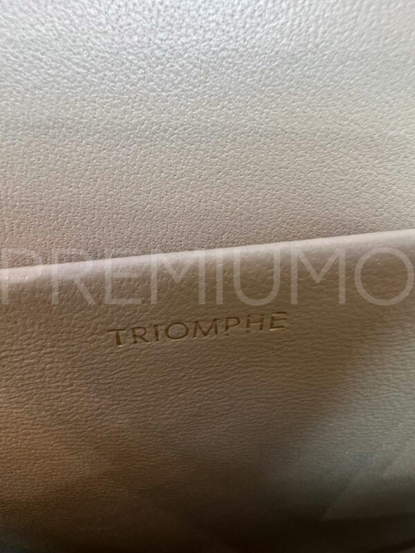 Celine сумка PR746557 14