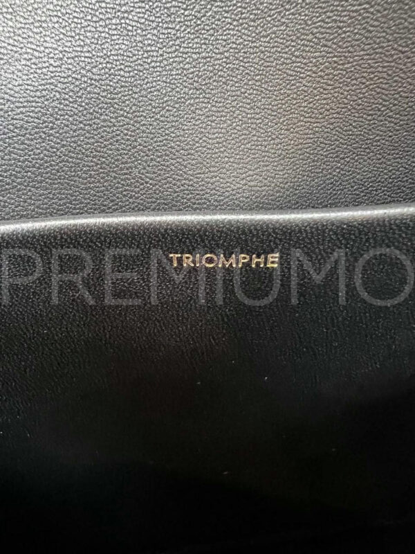 Celine сумка PR769759 14
