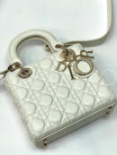Christian Dior сумка PR405325 16