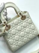 Christian Dior сумка PR405325 15