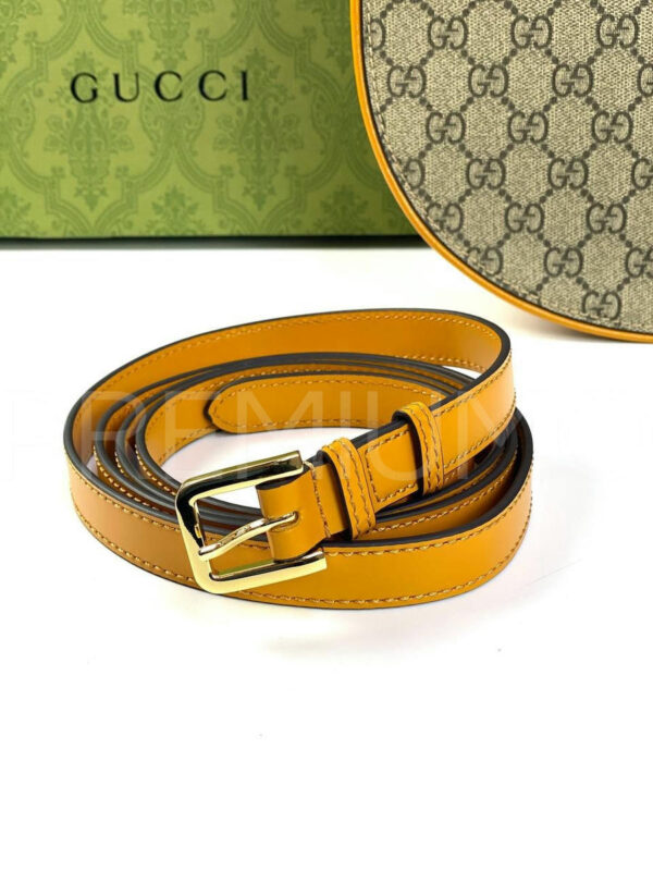 Gucci сумка PR329218 11