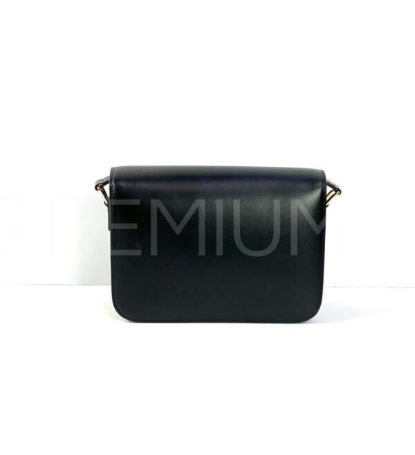 Celine сумка PR104797 6