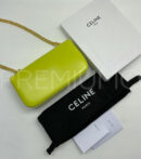 Celine сумка PR243550 4