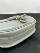Christian Dior сумка PR895122 31