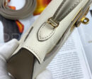 Hermes сумка PR623228 22