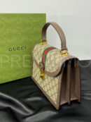 Gucci сумка PR235673 35
