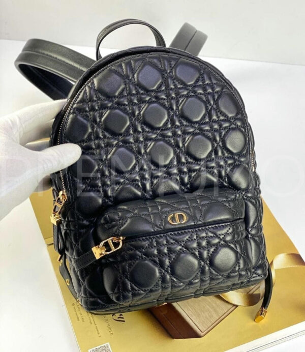 Christian Dior рюкзак PR683960 2