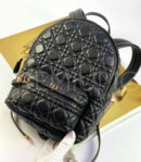 Christian Dior рюкзак PR683960 13