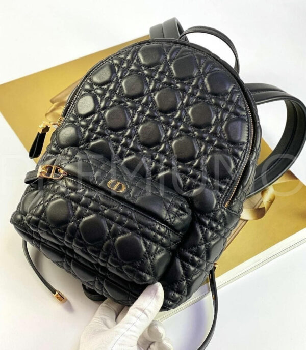 Christian Dior рюкзак PR683960 3