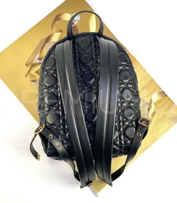 Christian Dior рюкзак PR683960 4