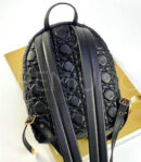 Christian Dior рюкзак PR683960 17
