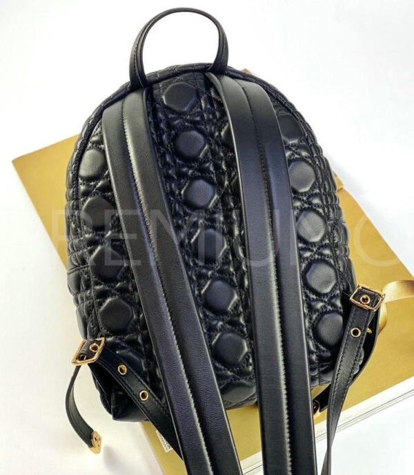 Christian Dior рюкзак PR683960 7