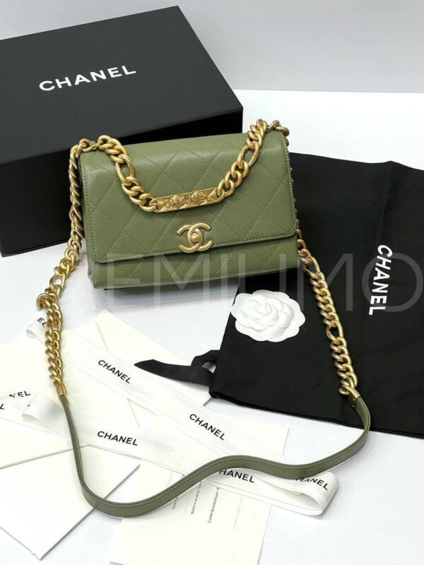 Chanel сумка PR225587 2