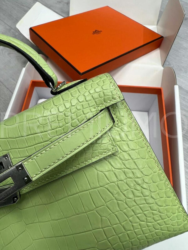 Hermes сумка PR599520 4
