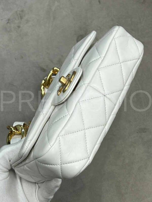 Chanel сумка PR283332 4