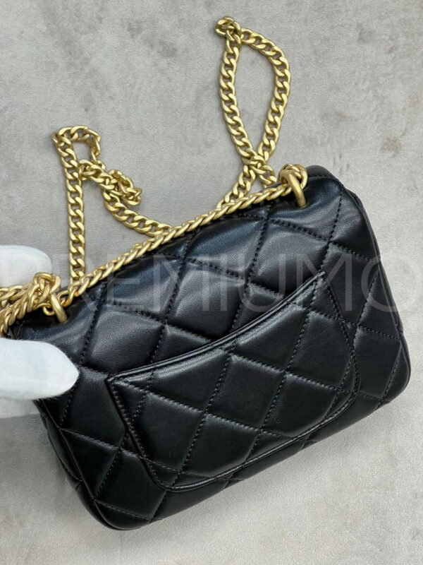 Chanel сумка PR696341 2