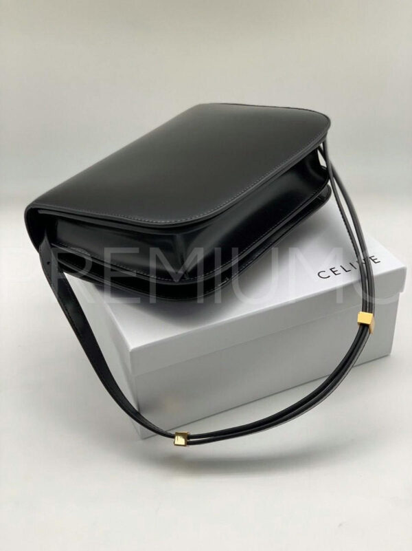 Celine сумка PR875621 6