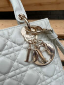 Christian Dior сумка PR619906 19