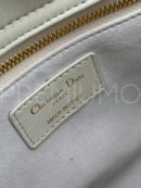 Christian Dior сумка PR619906 25