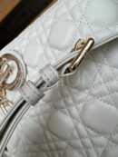 Christian Dior сумка PR619906 21