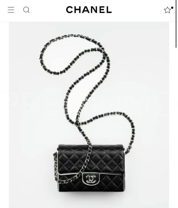 Chanel сумка PR519187 11