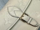 Louis Vuitton Diane сумка PR591094 34