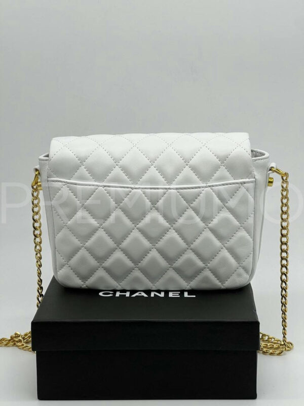 Chanel сумка PR211054 8