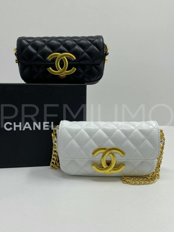 Chanel сумка PR589033 6