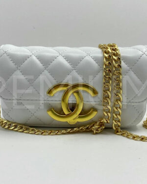 Chanel сумка PR589033