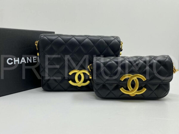 Chanel сумка PR692802 5