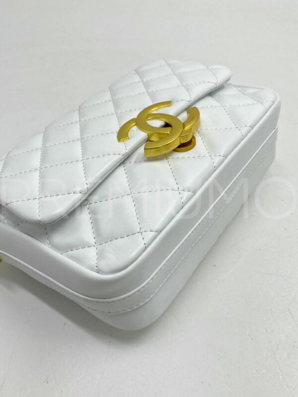 Chanel сумка PR211054 3