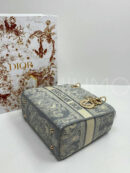Christian Dior сумка PR375282 18
