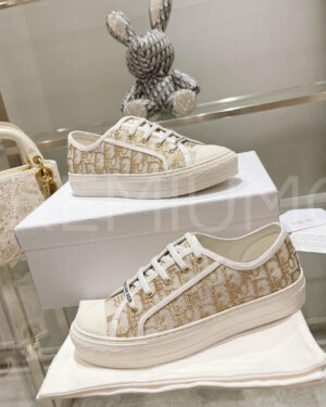 Christian Dior Walk’n’Christian Dior кеды PR876354