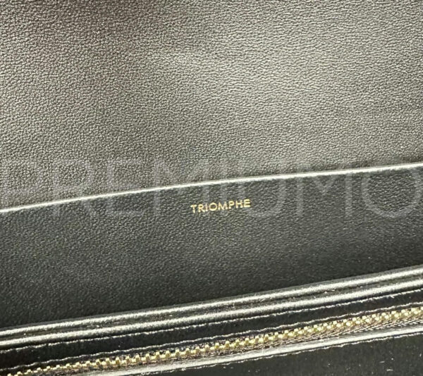 Celine сумка PR575467 15