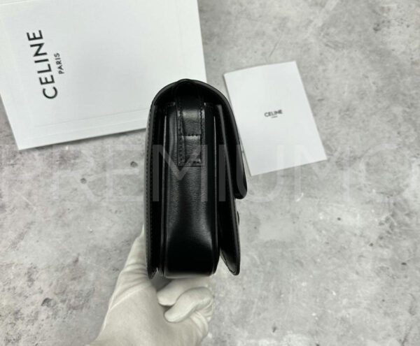Celine сумка PR575467 11