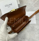 Celine сумка PR667512 14