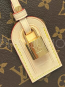 Louis Vuitton сумка PR126429 19