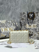 Christian Dior сумка PR695475 16