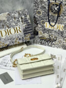 Christian Dior сумка PR695475 17