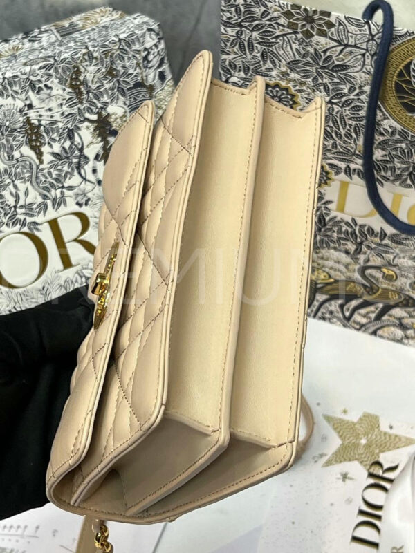Christian Dior сумка PR604113 7