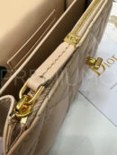 Christian Dior сумка PR604113 18